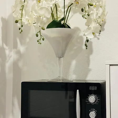 Petra Luxury דירה *